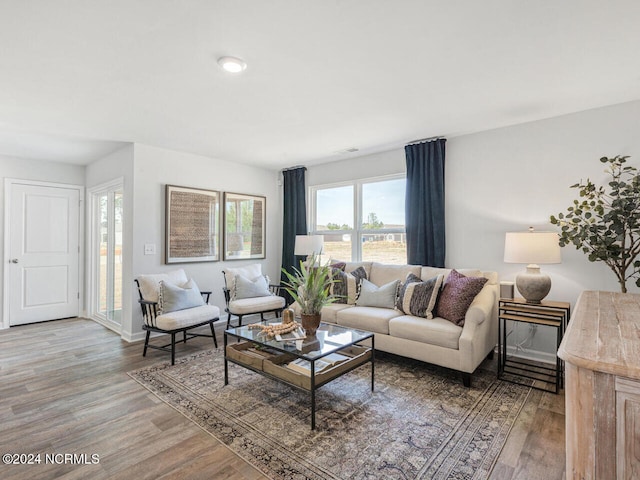 living room with wood-type flooring