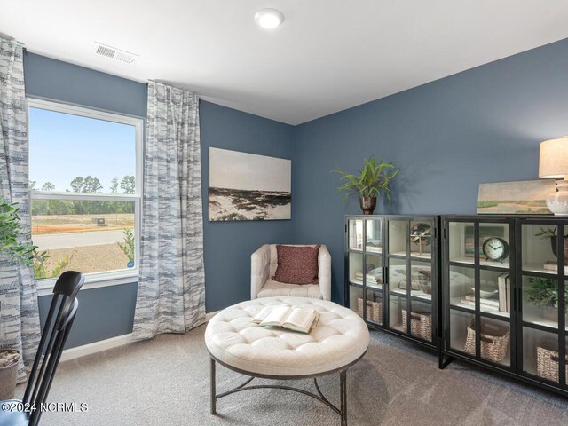 sitting room with carpet floors and a healthy amount of sunlight