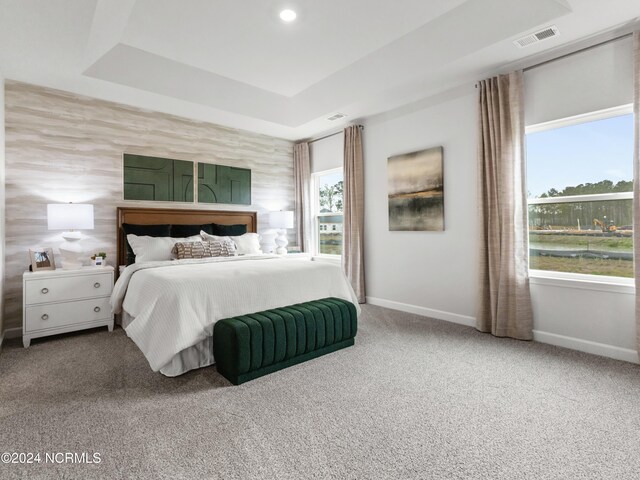 carpeted bedroom featuring a raised ceiling