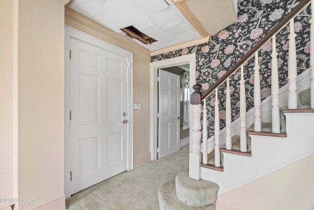 carpeted foyer entrance featuring ornamental molding