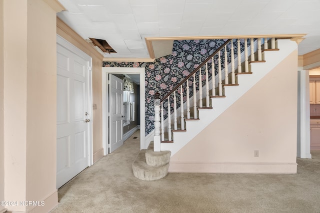 staircase with ornamental molding and carpet flooring