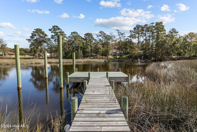 view of dock with a water view