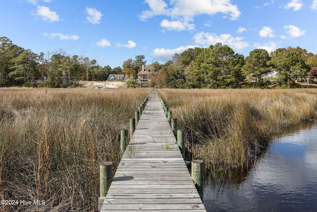 dock area with a water view