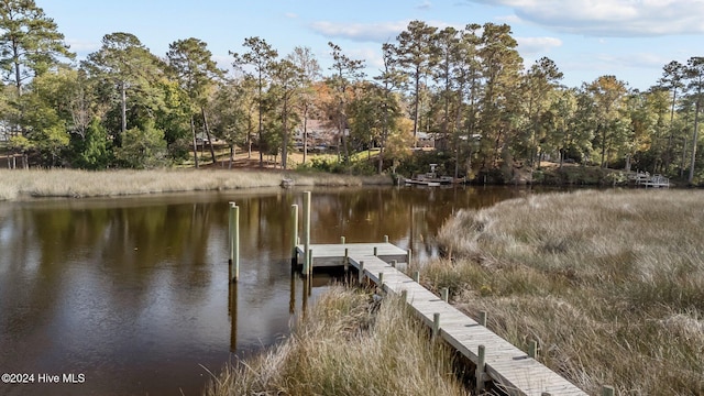 dock area with a water view