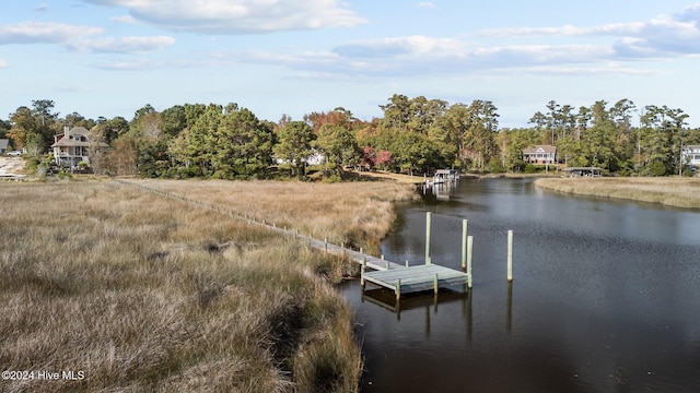 dock area with a water view