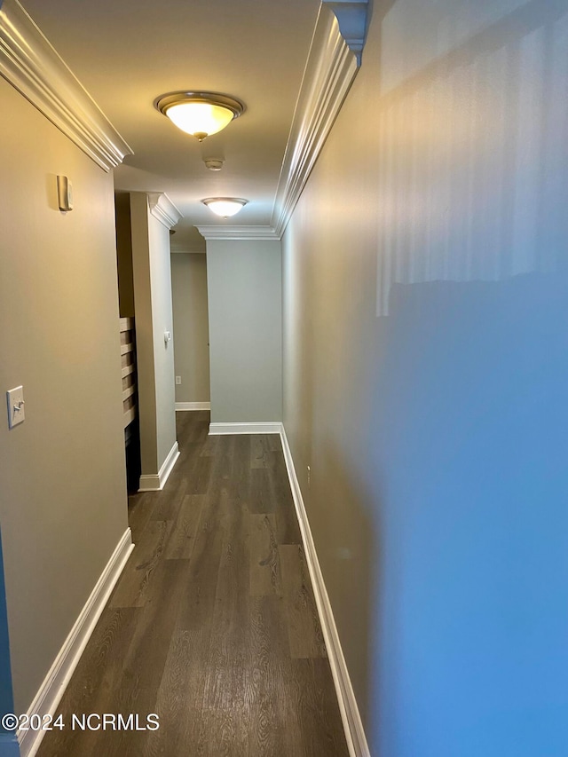 hallway featuring dark hardwood / wood-style floors and crown molding