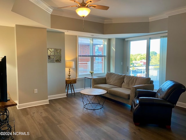 living room with crown molding, ceiling fan, and dark wood-type flooring