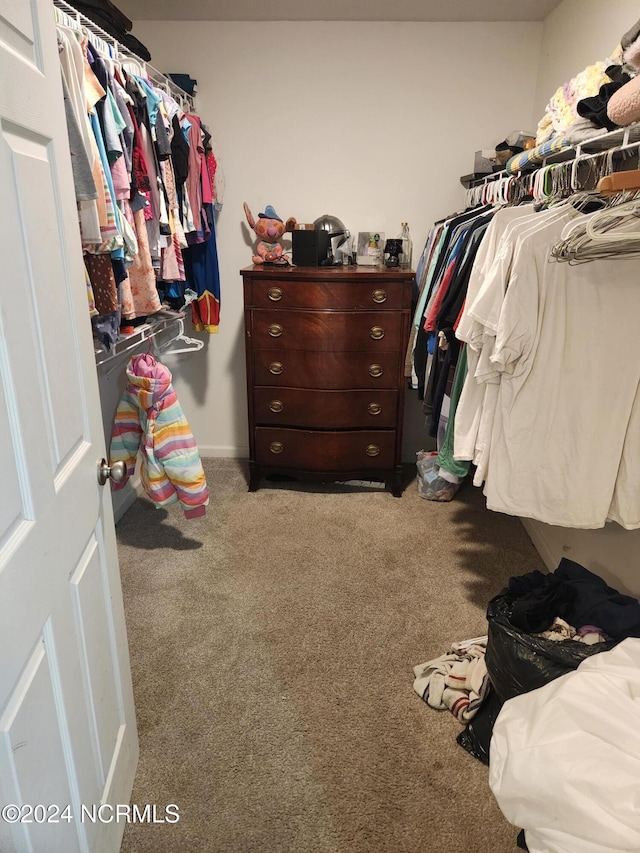 walk in closet with light colored carpet