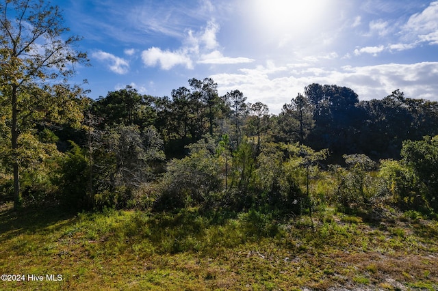 329 Winding Woods Way, Beaufort, NC 28516