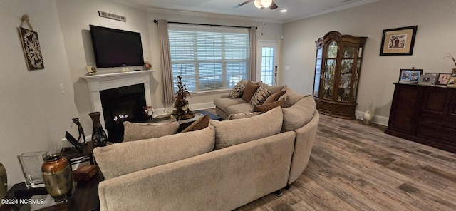 living room featuring hardwood / wood-style flooring, crown molding, and ceiling fan