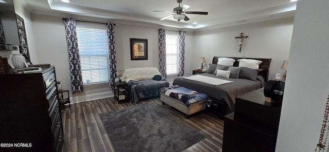 bedroom featuring ceiling fan, dark hardwood / wood-style flooring, and a tray ceiling