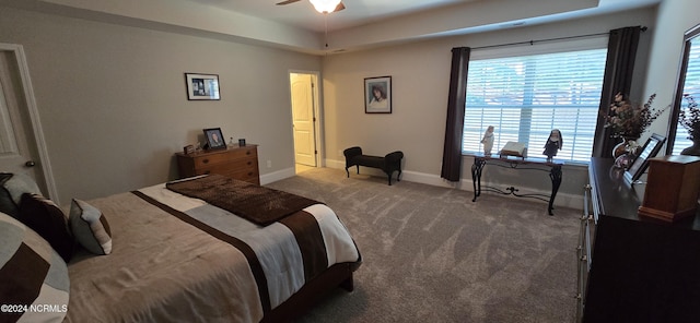 carpeted bedroom featuring a tray ceiling