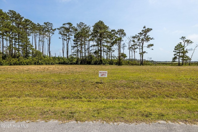 313 Anson Rd Unit 5, Beaufort NC, 28516 land for sale