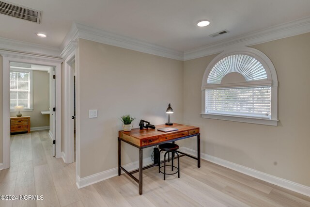 bedroom with multiple windows, a raised ceiling, and light wood-type flooring