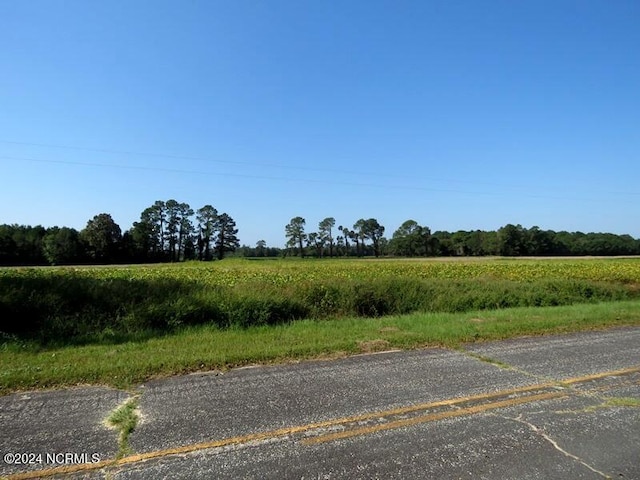 Listing photo 3 for TBD Cowpen Swamp Rd Unit 10, Fairmont NC 28340