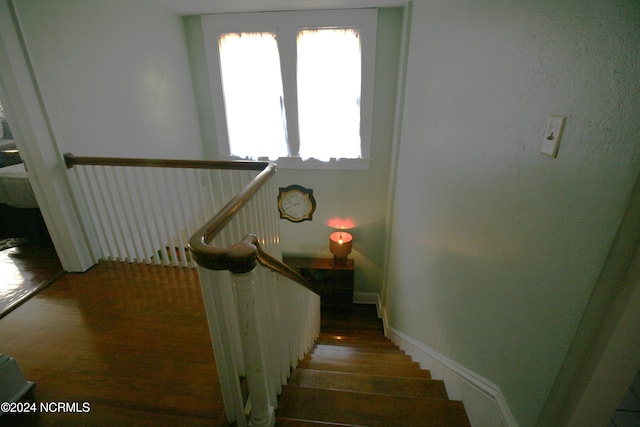 staircase featuring wood-type flooring