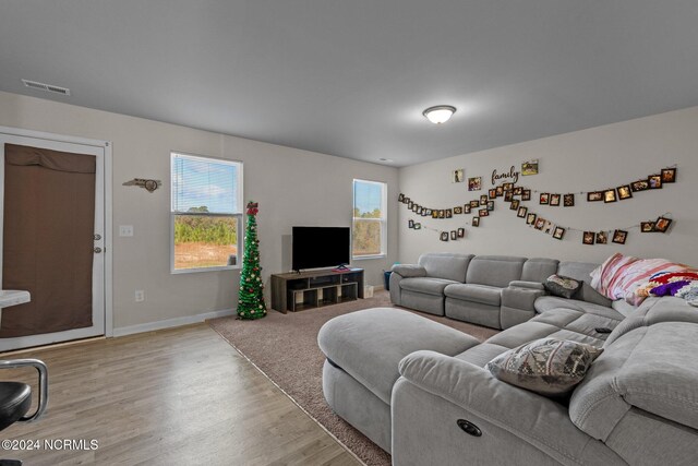 living room featuring a healthy amount of sunlight and light hardwood / wood-style flooring