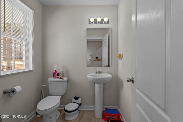 bathroom with toilet, sink, and wood-type flooring