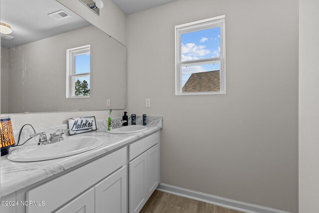 bathroom featuring vanity, hardwood / wood-style floors, and a healthy amount of sunlight