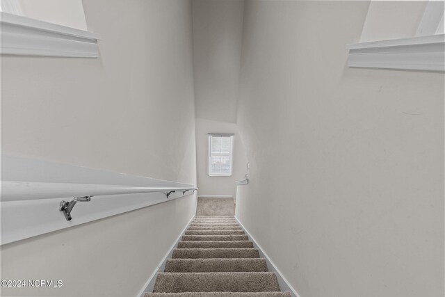 stairway featuring carpet floors