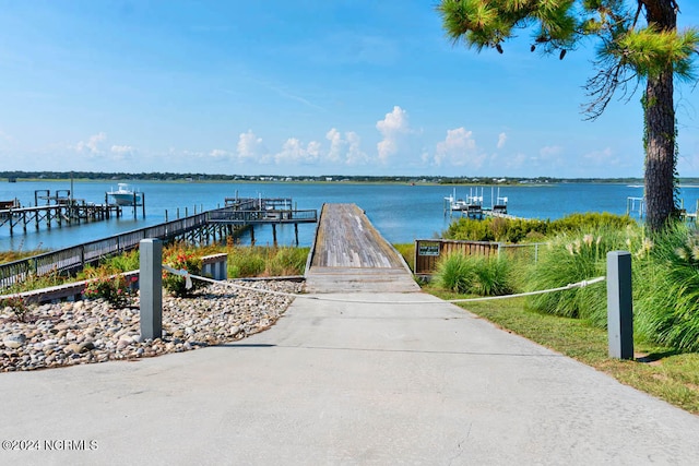 dock area with a water view