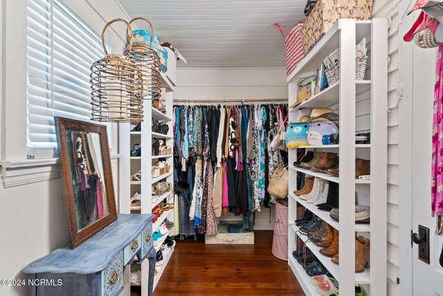 walk in closet with dark hardwood / wood-style flooring