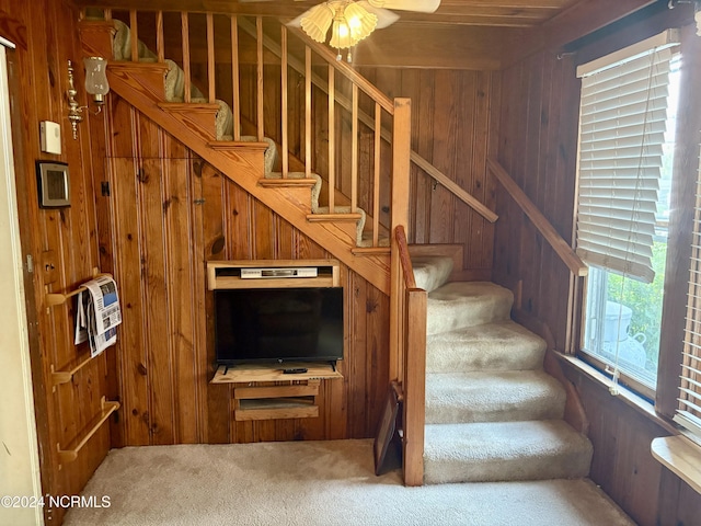 staircase with wood walls and carpet flooring