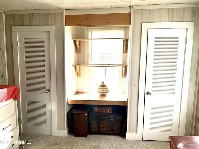 interior space featuring wood walls and carpet floors