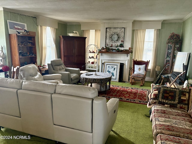 living room with a textured ceiling and carpet