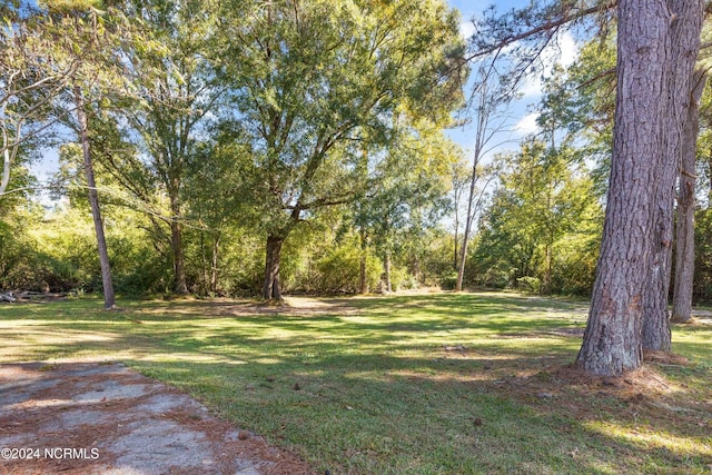 510 Millhouse Rd, Castle Hayne, NC 28429 - view of yard