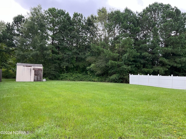 view of yard with a storage unit