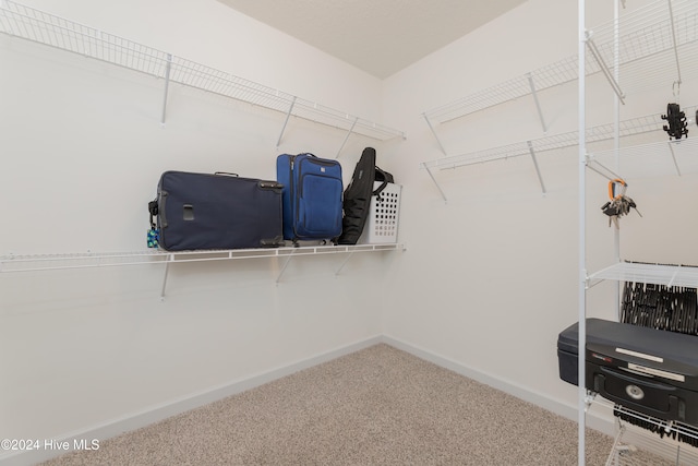 spacious closet with carpet