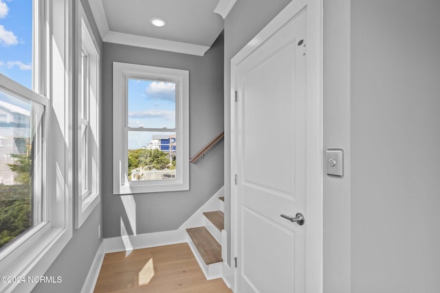 stairs with hardwood / wood-style flooring