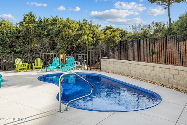 view of swimming pool with a patio