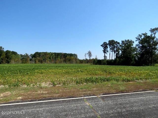 Listing photo 3 for TBD Cowpen Swamp Rd Unit 17, Fairmont NC 28340