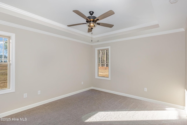 carpeted spare room featuring ornamental molding, ceiling fan, and a tray ceiling