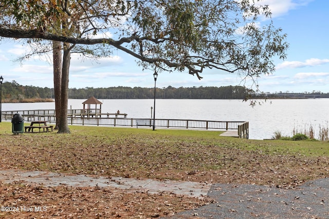 dock area with a water view