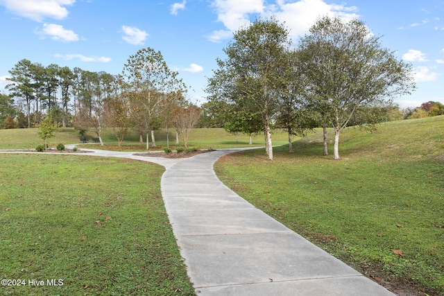 view of community featuring a lawn