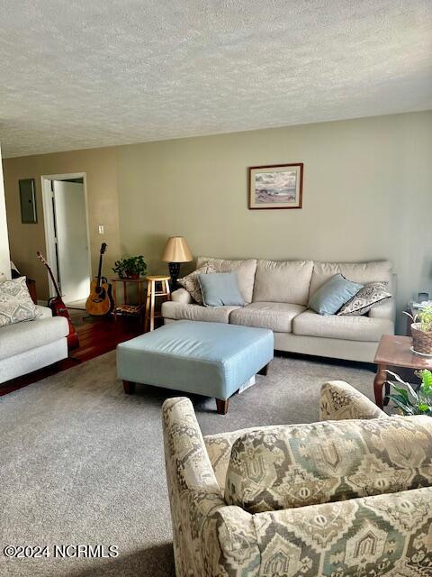 carpeted living room with a textured ceiling