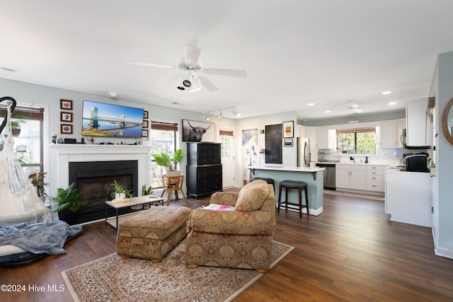 living room with ceiling fan, rail lighting, and dark wood-type flooring