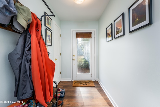 entryway with dark hardwood / wood-style flooring