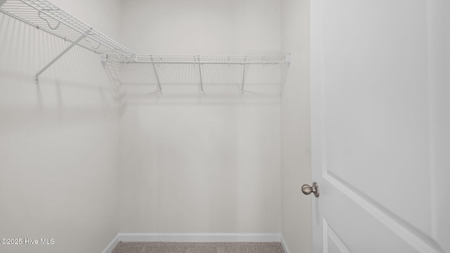 spacious closet with carpet flooring