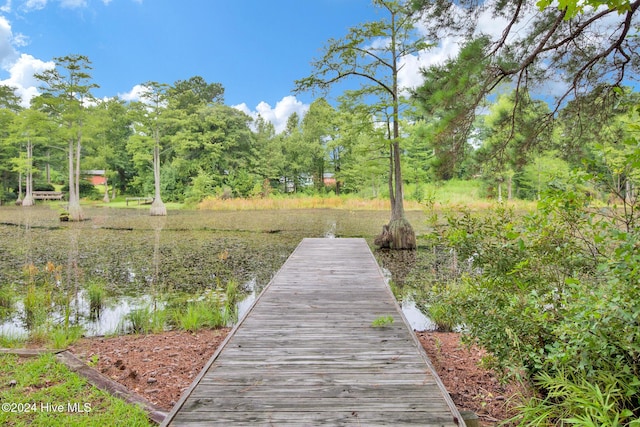 6639 Ramsey St, Fayetteville, NC 28311 - dock area featuring view of scattered trees