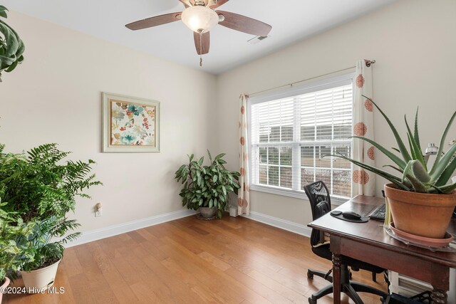 kitchen featuring ceiling fan, light wood-type flooring, stainless steel dishwasher, light stone counters, and sink