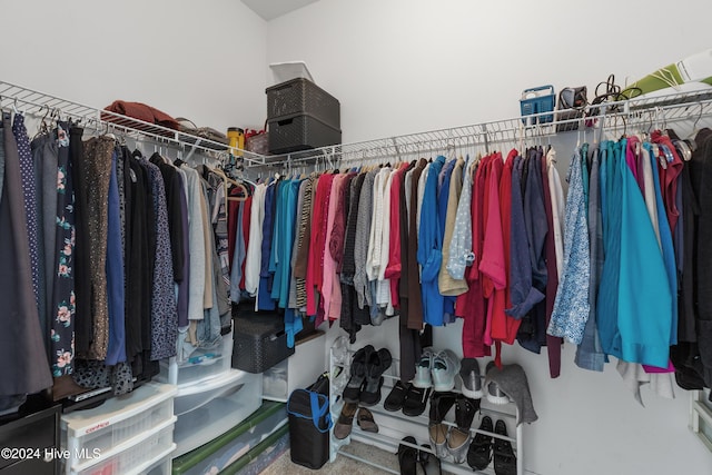 spacious closet with carpet