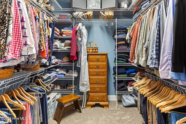 154 Horizon Trl, Aberdeen, NC 28315 - walk in closet featuring carpet floors