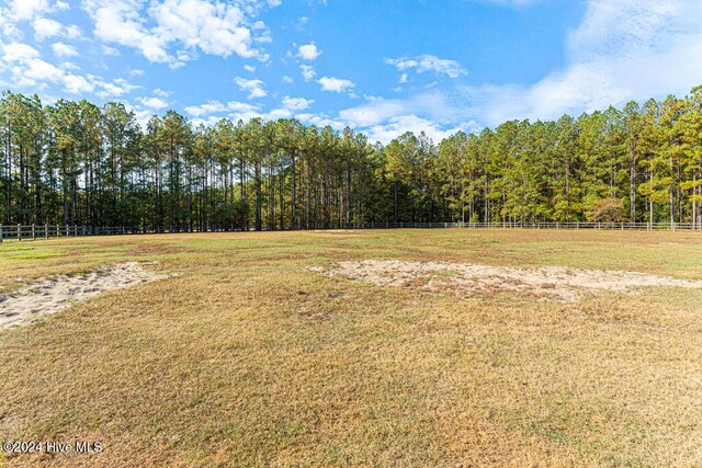 154 Horizon Trl, Aberdeen, NC 28315 - view of yard featuring a forest view