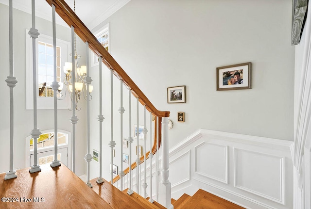 stairway featuring a chandelier, hardwood / wood-style flooring, a healthy amount of sunlight, and crown molding