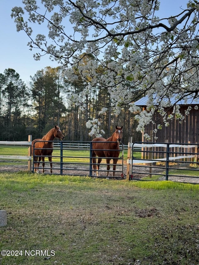 view of horse barn with a rural view