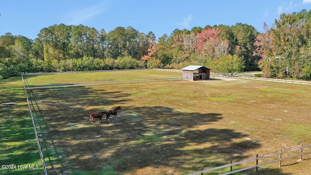 view of yard featuring a rural view and a storage unit